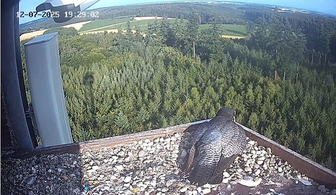 Screenshot_20250712-192909_Chrome