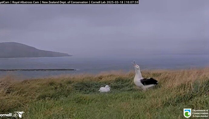 Screenshot_2025-03-17-22-41-17-357_com_1742248835197.google.android.youtube