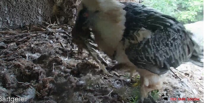 Hans aktiv 1 23.08.25