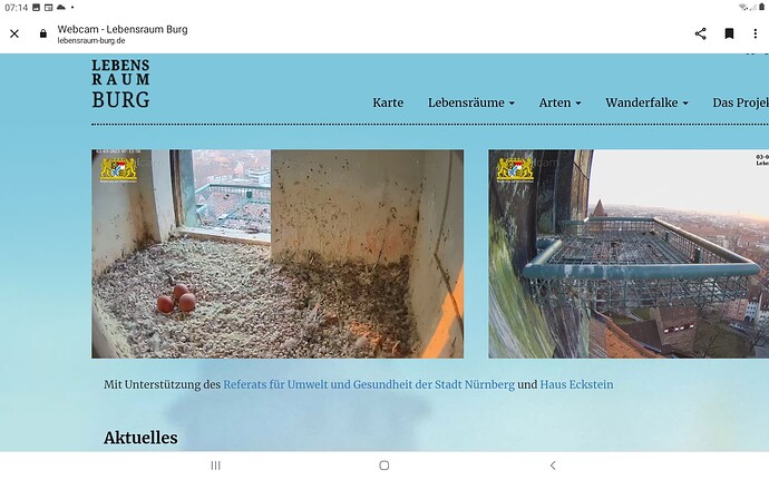 Screenshot_20230303-071421_Chrome