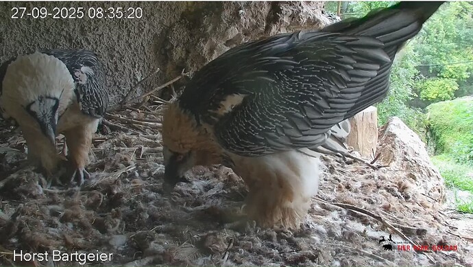 Screenshot_20250927-083635~2