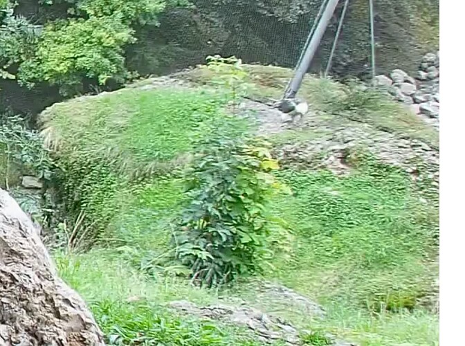 Screenshot_20250802-172935~2