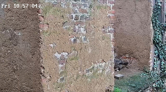 Bildschirmfoto 2026-02-13 um 11.00.23