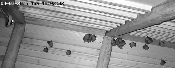 2026-03-03_1 ab 18.00 WG Cluster 3