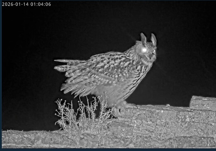 Screenshot_20260114_010440_Samsung Internet