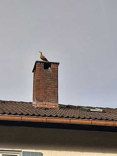 WhatsApp Bild 2023-03-18 um 09.38.37