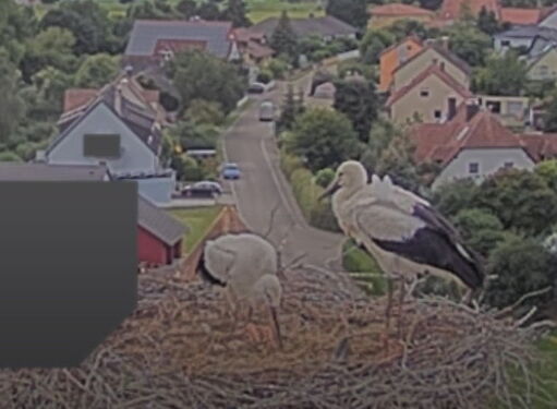 Snap_2024.07.07_16h46m33s_003_