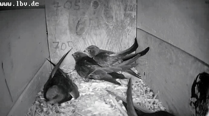 Screenshot_2025-07-22-20-47-34-707_com.android.chrome