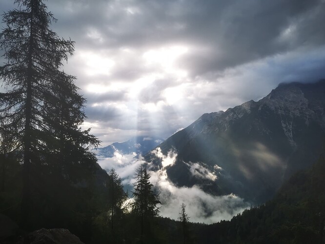 IMG_20230810_082032_resized_20230810_082851348