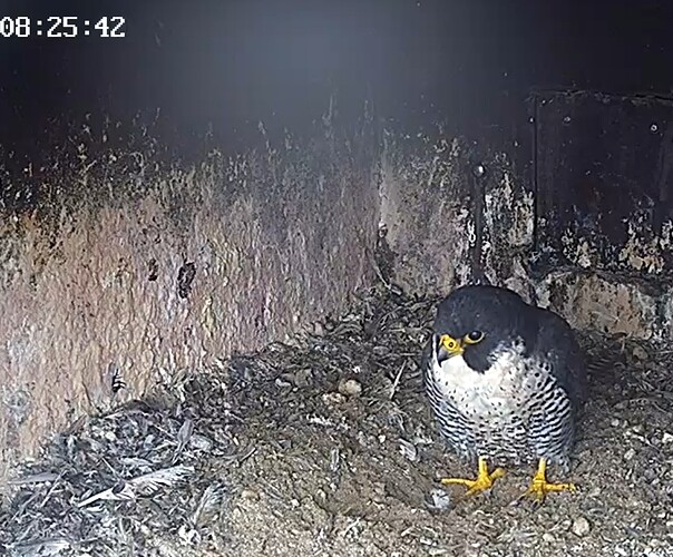 Screenshot_2025-09-26-09-20-07-647_com.android.chrome