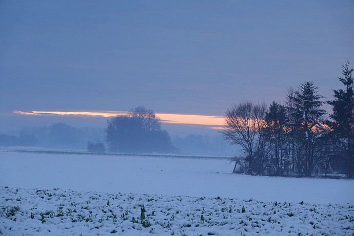 DSC03508
