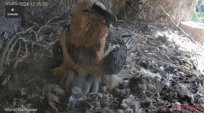 Snap_2024.03.20_12h36m12s_012_