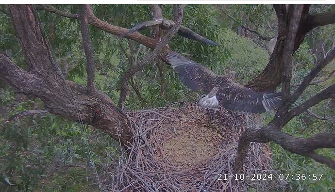 Screenshot 2024-10-20 230134