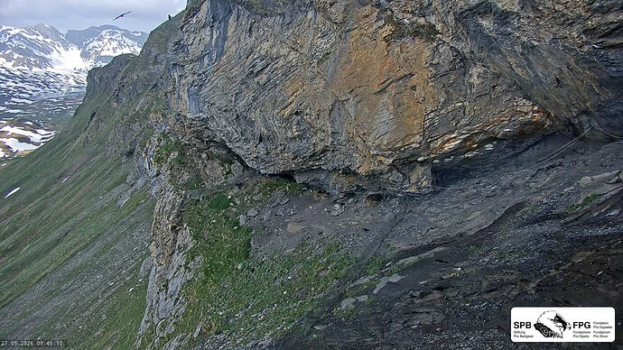 Bildschirmfoto vom 2026-05-27 09-46-09
