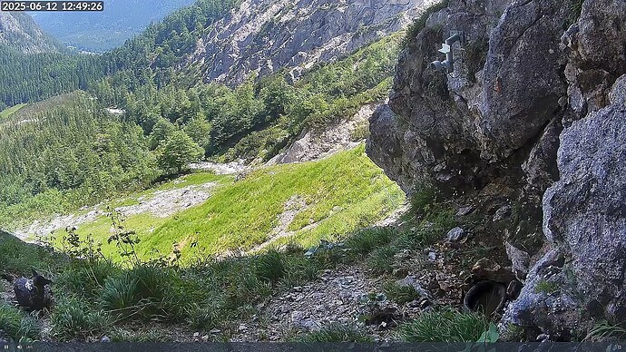 Bildschirmfoto vom 2025-06-12 12-49-46