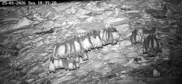 2026-01-25_4 ab 18.00 1. Interaktion