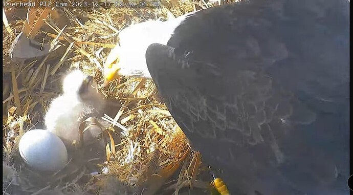 Screenshot_20231217_210309_YouTube