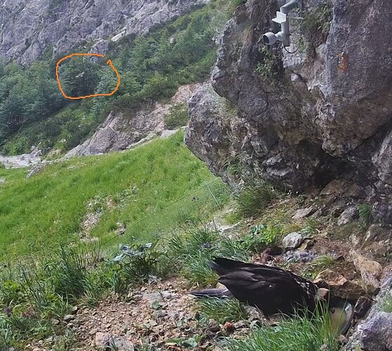 Snap_2025.06.28_11h46m59s_014_