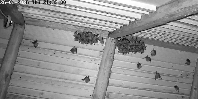 2026-02-26_5 ab 21.00 Unruhe... 1 von 2