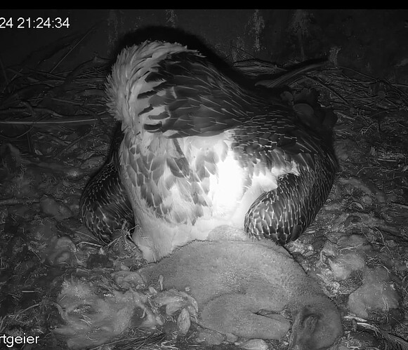 Screenshot_20240322-212448~2