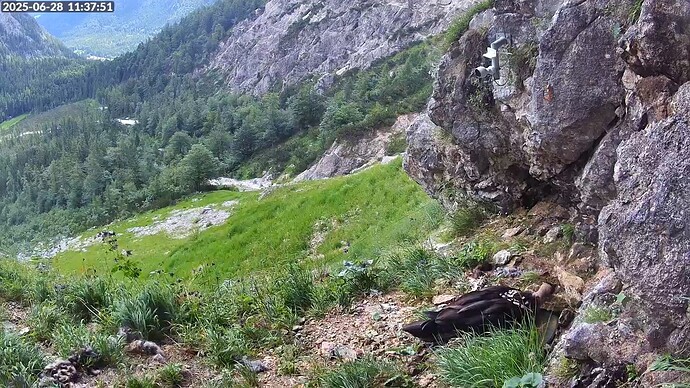 Bildschirmfoto vom 2025-06-28 11-38-17