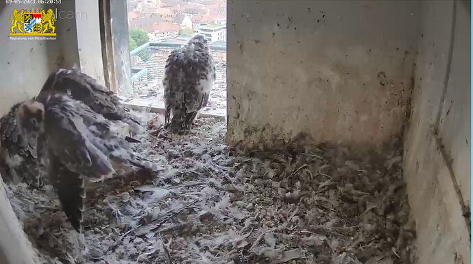 Snap_2023.05.09_06h21m20s_005_