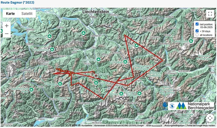 Screenshot 2025-06-06 231706