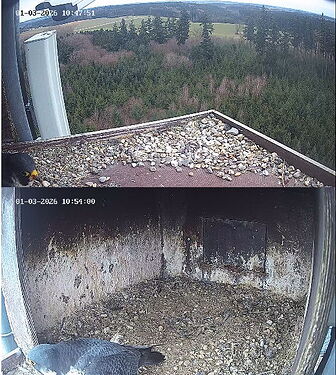 Snap_2026.03.01_10h47m29s_012_