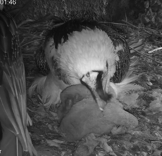 Screenshot_20240326-070217~2