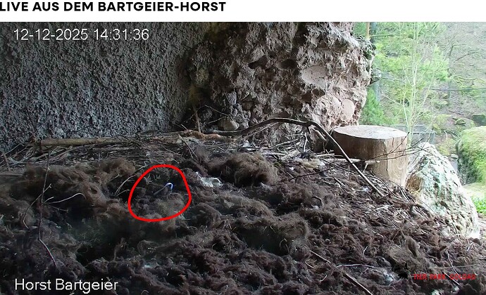 Screenshot_20251212-143226~2