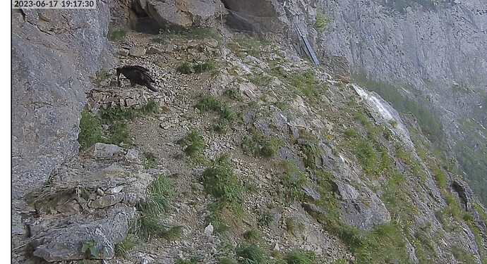 IMG_6033