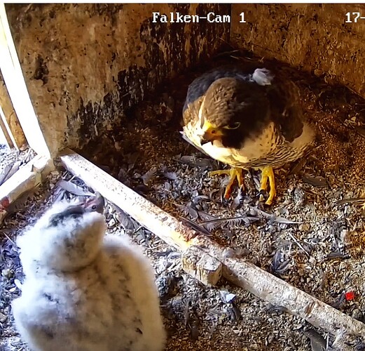 Screenshot_20230517-055745-01