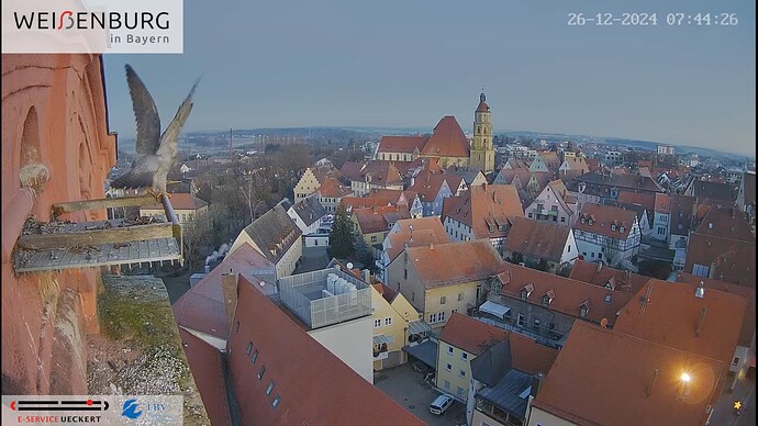 Screenshot (7945)