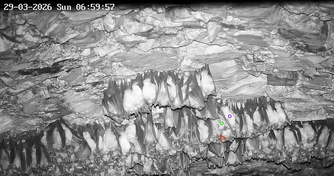 2026-03-29_2 neuer Hangplatz an derselben Stelle