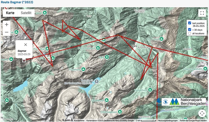 Screenshot 2025-06-01 215529