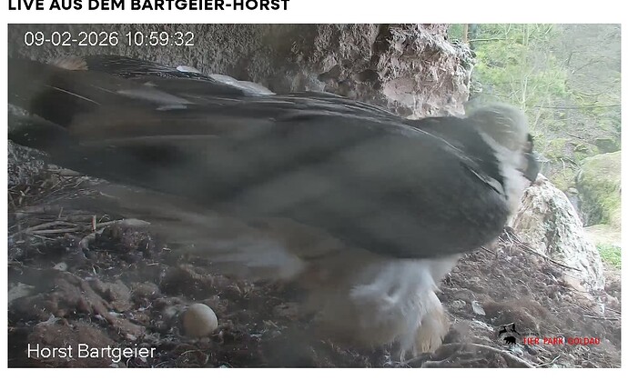 Screenshot_20260209-110036~2