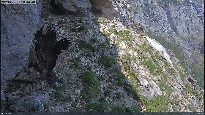 Screenshot (2)