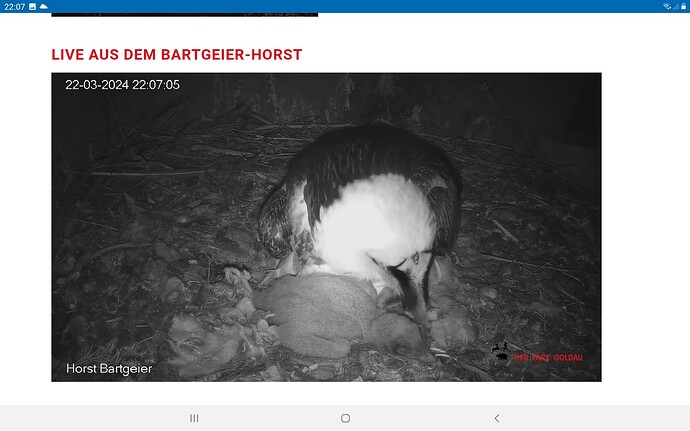 Screenshot_20240322-220719_Chrome