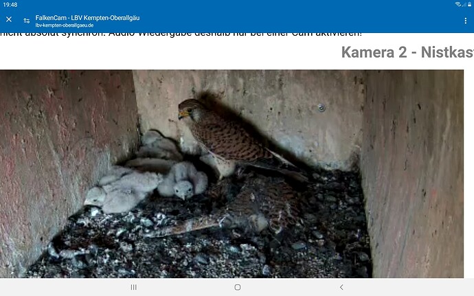 Screenshot_20240619-194856_Chrome