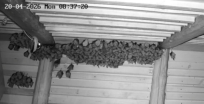 2026-04-20_2 Cluster WG SozTh