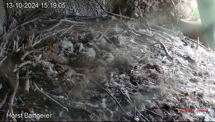 Screenshot_20241013-152009~2
