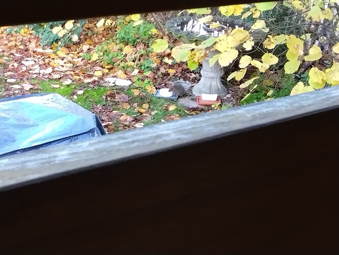 IMG_20251104_150754_213