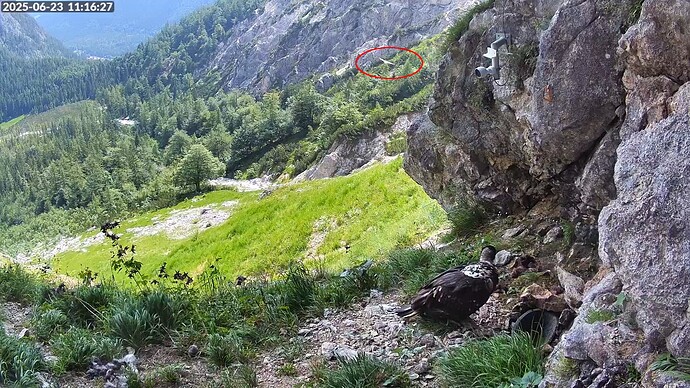 Bildschirmfoto vom 2025-06-23 11-16-48