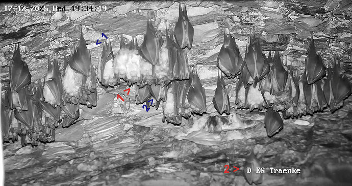 Vollbildaufzeichnung 17.12.2025 193432