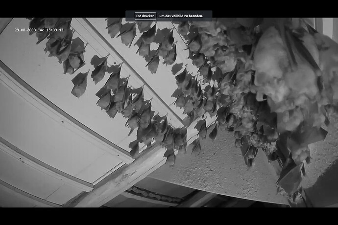 Screenshot (217)