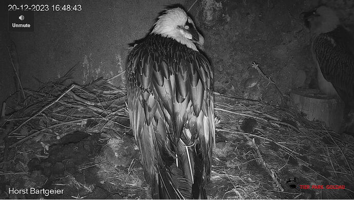 Snap_2023.12.20_16h48m58s_002_