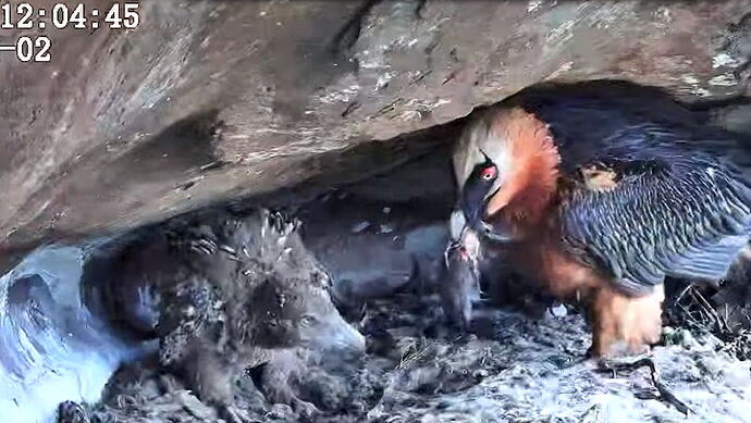 Snap_2025.10.18_12h40m23s_009_