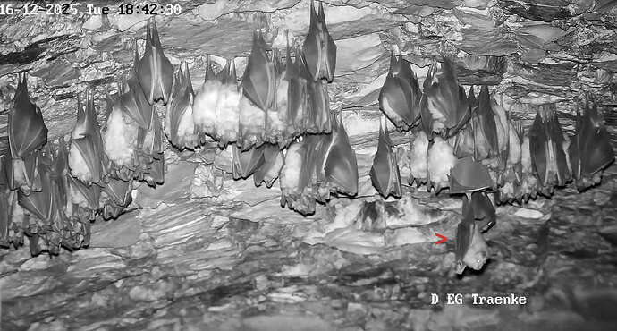 Vollbildaufzeichnung 16.12.2025 184232