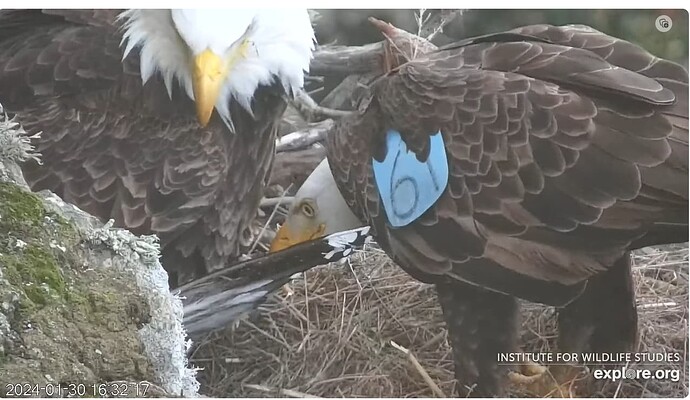 Screenshot 2024-01-31 121730