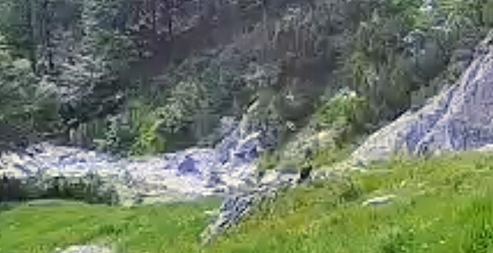 Screenshot_20250703_065620_Samsung Internet~3